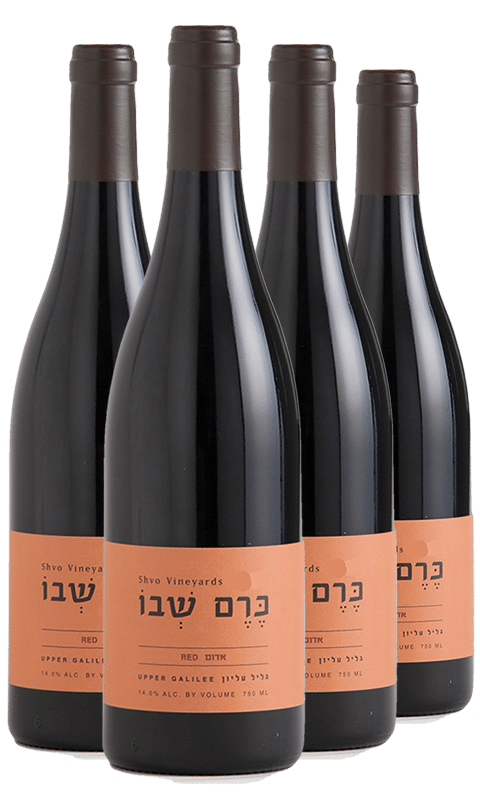 רביעיית כרם שבו אדום